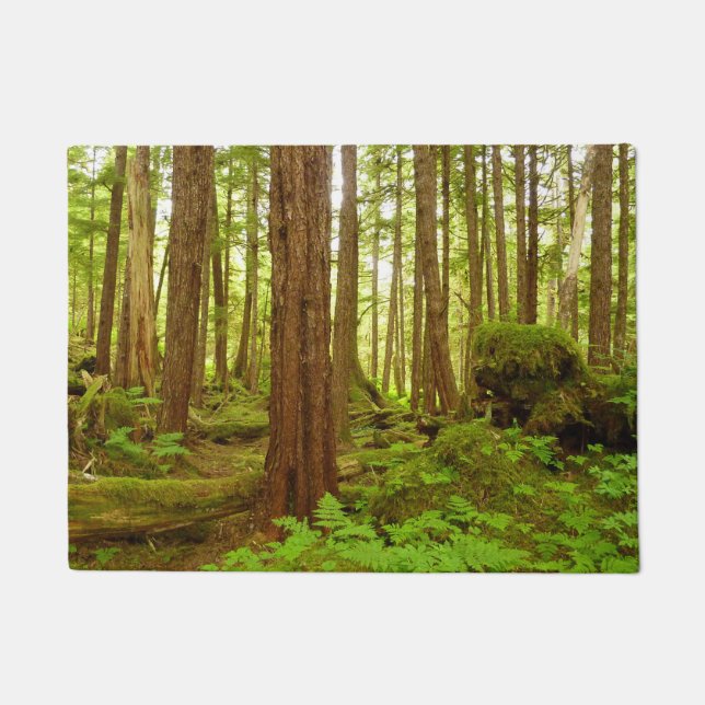 Paillasson Forêt pluviale tempérée de l'Alaska (Devant)