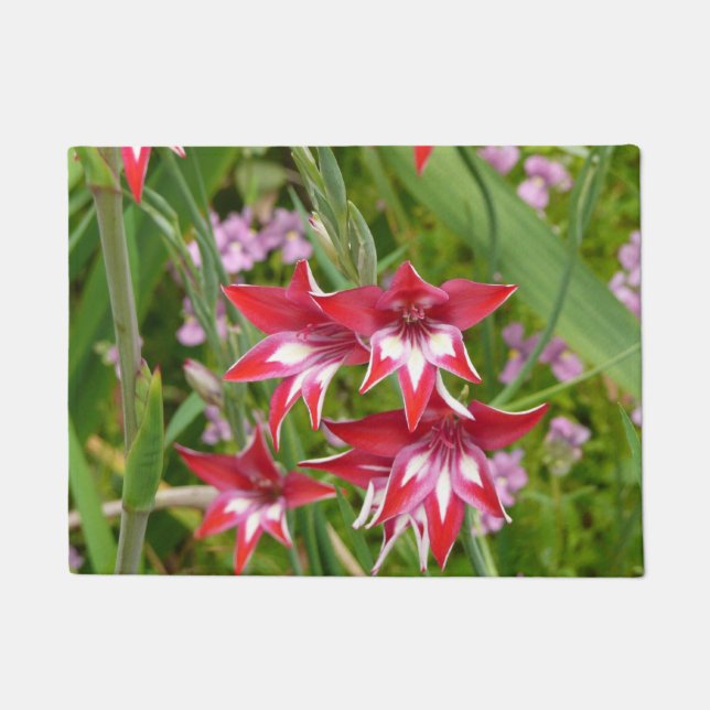 Paillasson Gladiolas rouge et blanc Botanique d'été (Devant)