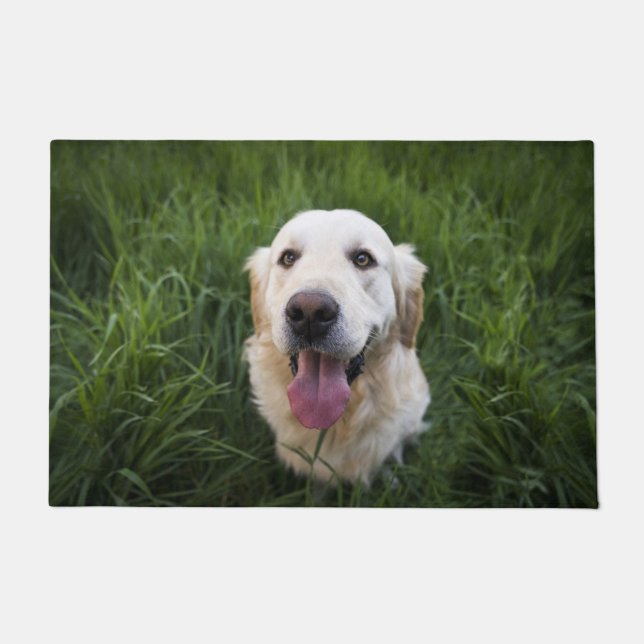 Paillasson Golden Retriever souriant   (Devant)