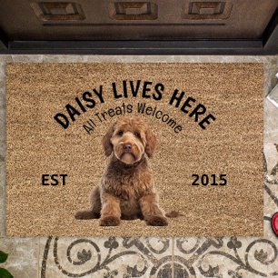 Paillasson Goldendoodle Porte Amoureux des chiens personnalis