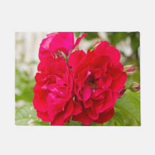 Paillasson Grandes roses rouges dans le jardin