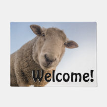 Grands moutons - accueil !