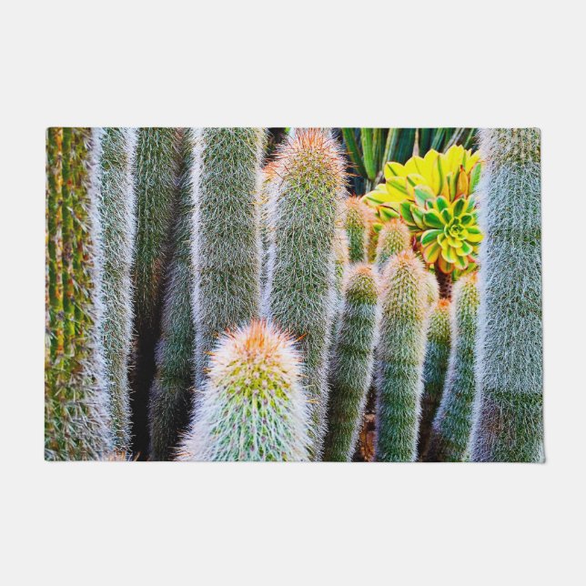 Paillasson Gros plan de cactus vert flou photo audacieux mode (Devant)