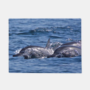 Paillasson Groupe de dauphins de goulot - Oman