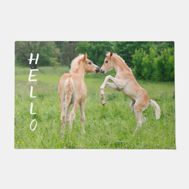 Paillasson Haflinger Horses Cute Fote Friends Rearing Photo (Devant)