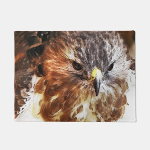 PAILLASSON HAWK