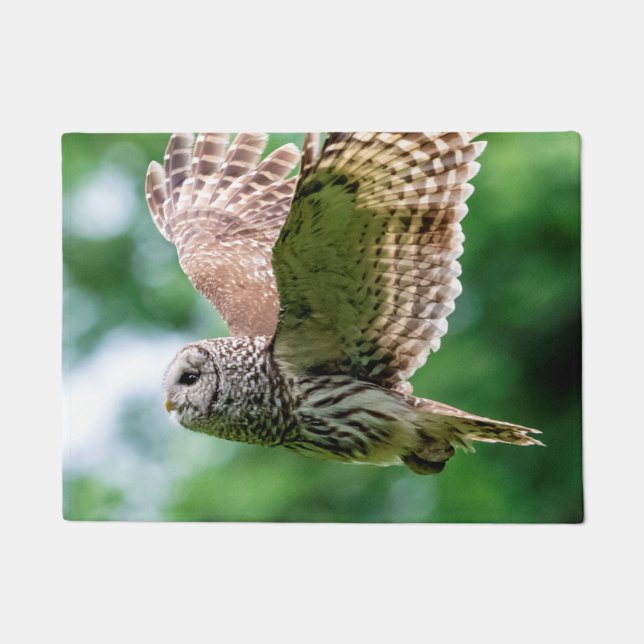 Paillasson Hibou barré en vol (Devant)