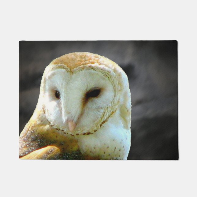 Paillasson Hibou de grange contre des nuages de nuit (Devant)