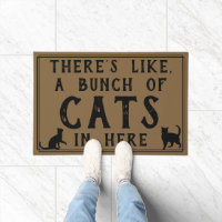 Il y a un tas de chats ici | Drôle