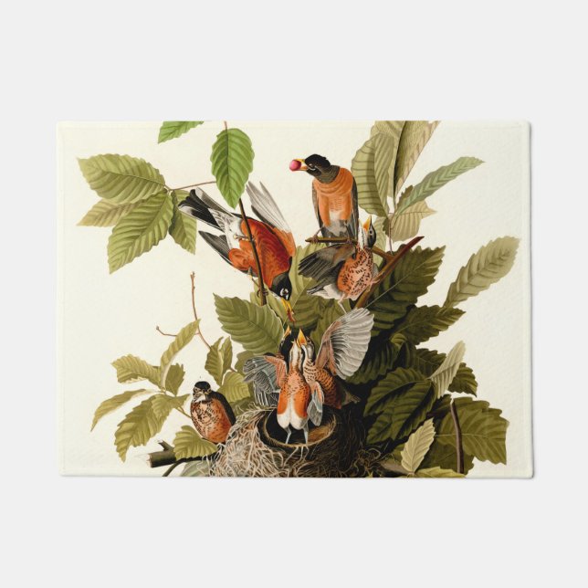 Paillasson Illustration Audubon American Robin Wildlife Bird (Devant)
