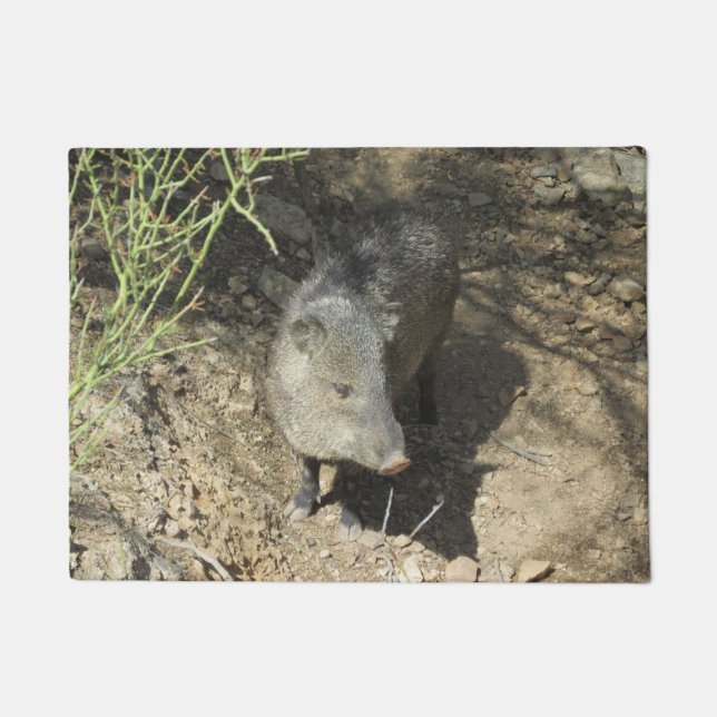 Paillasson Javelina (Devant)