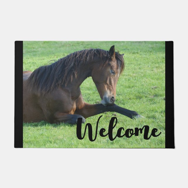 Paillasson Joli Cheval Brown allongé dans l'herbe Bienvenue (Devant)