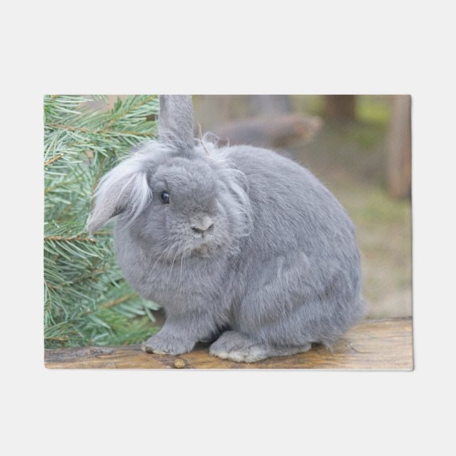 Paillasson Joli lapin gris (Devant)