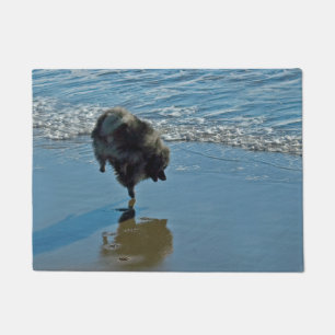 Paillasson Keeshond Ballet Photographie - Joli chien d'origin