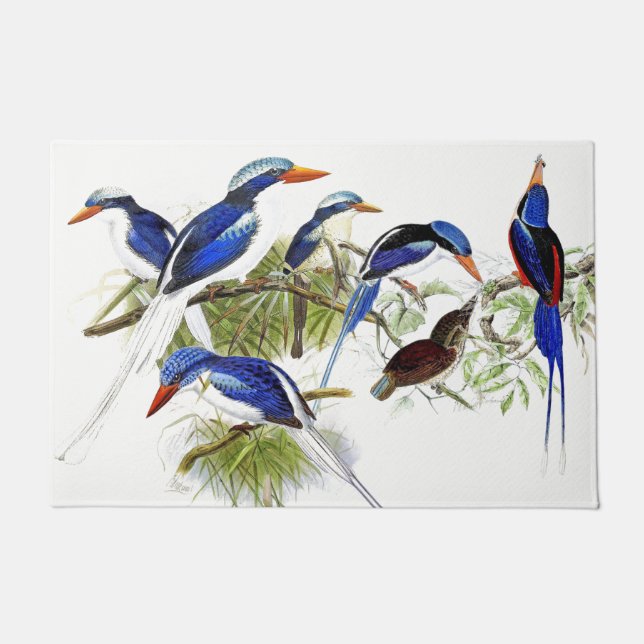 Paillasson Kingfisher Oiseaux Faune Animaux Porte Mat (Devant)