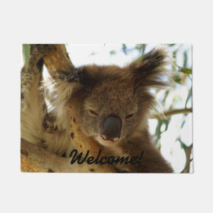Paillasson Koala sauvage dormant sur l'arbre d'eucalyptus,