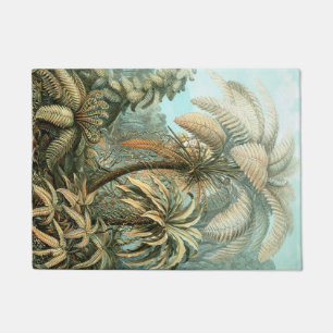 Paillasson Kunstformen der Natur, Filicinae - Ernst Haeckel