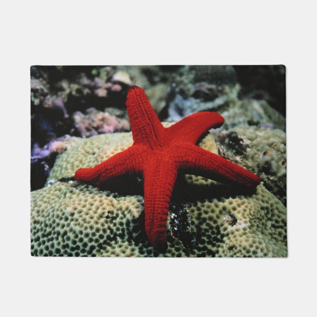 Paillasson La Mer Rouge des poissons | d'étoile (Devant)
