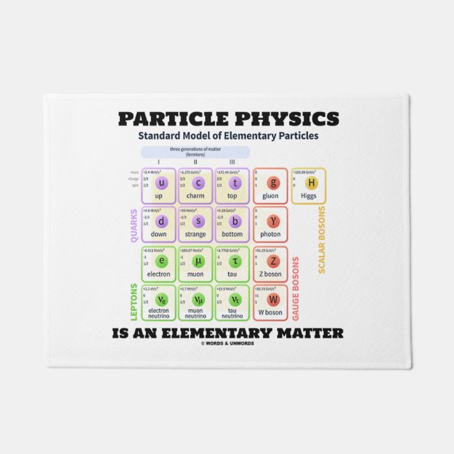 Paillasson La physique de particules est un modèle (Devant)