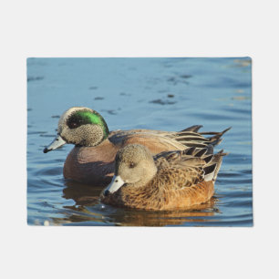 Paillasson Le Widgeon américain penche des paires (Drake et