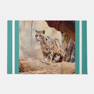 Paillasson léopard nébuleux image nature faune exotique