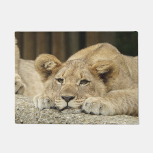 Paillasson Lion 040