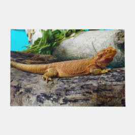 Paillasson Lizard de dragon à tête adulte