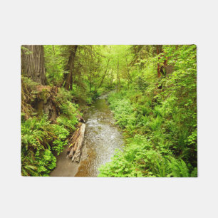 Paillasson Lost Man Creek II à Redwood National Park