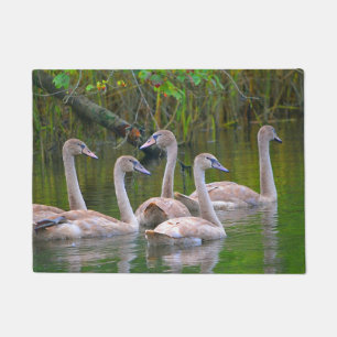 Paillasson Mat Porte de Swan