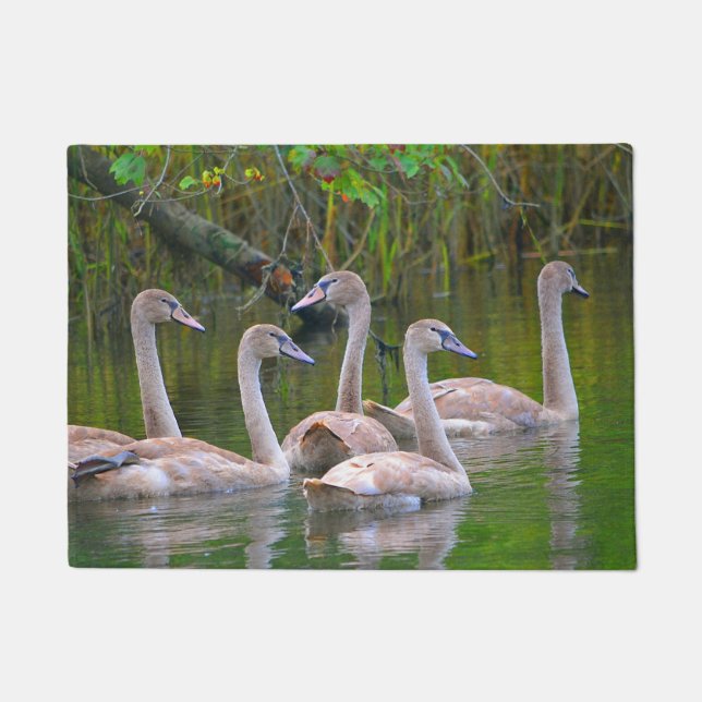 Paillasson Mat Porte de Swan (Devant)