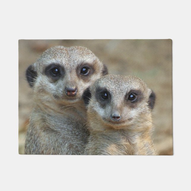 Paillasson Meerkat 085 (Devant)