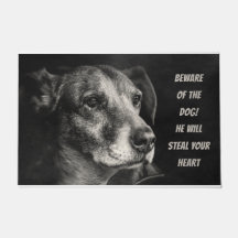 Méfiez-vous du chien, photo de l'animal de compagn