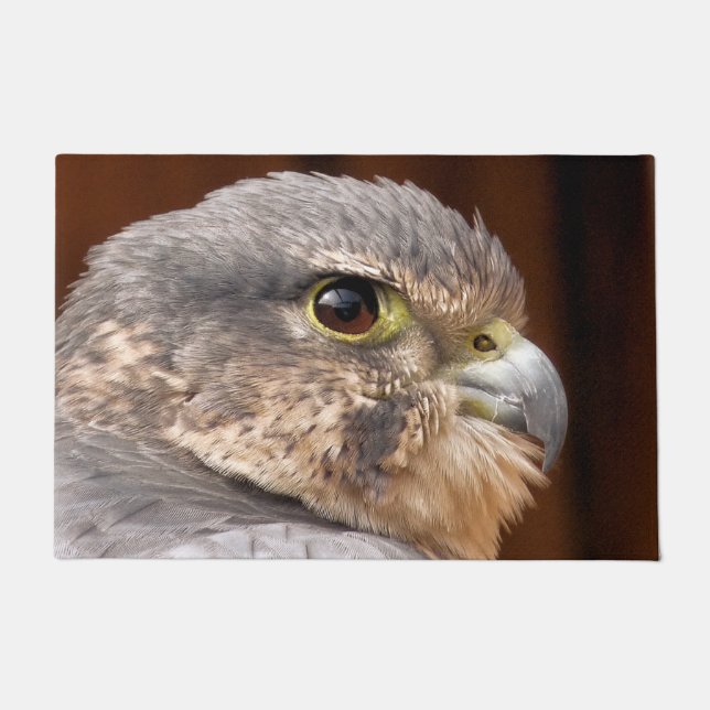 PAILLASSON MERLIN FALCON OISEAU DE PREY (Devant)