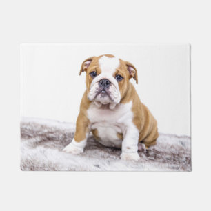 Paillasson Mignon chiot bouledogue