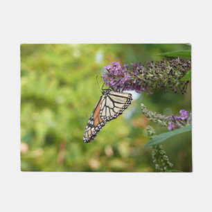 Paillasson Monarque sur Buddleia