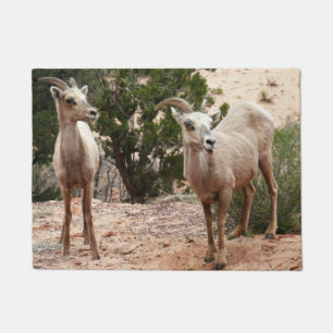 Paillasson Mouflons drôles à Zion National Park