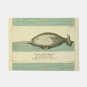 Paillasson Narwhal Antique Baleine Aquarelle Art scientifique