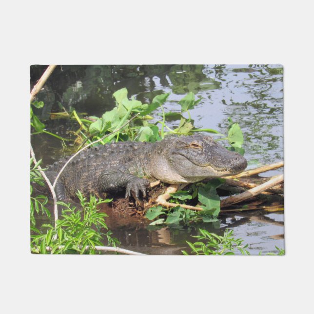 Paillasson Natte d'alligator américain (Devant)