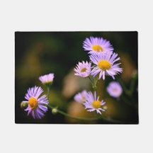 natte de marguerite de fleabane