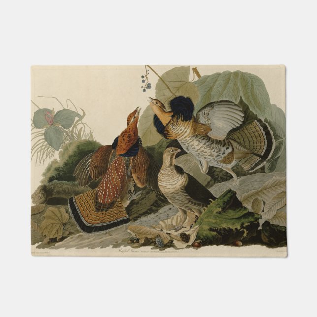 Paillasson Oiseau de gibier Audubon (Devant)