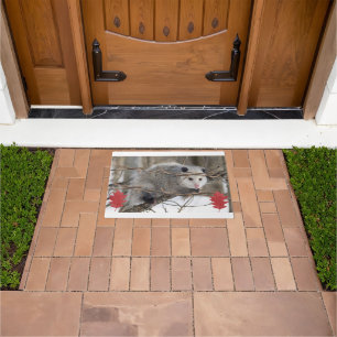 Paillasson Opossum Nature Porte Mat