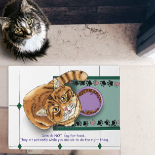 Paillasson Orange Tabby Food Bowl cuisine