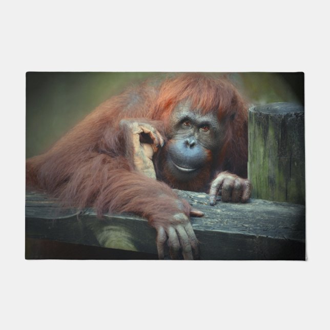Paillasson Orangoutan (Devant)