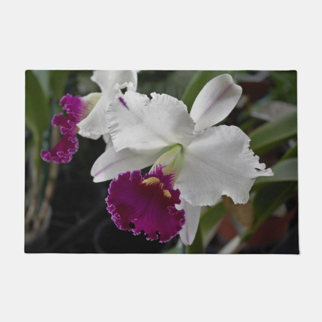 Paillasson Orchidée de pornatte blanc pourpre (Devant)