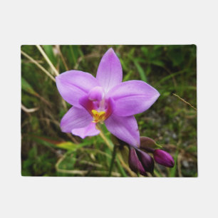 Paillasson Orchidée sauvage violette Fleur tropicale