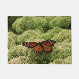 Paillasson Papillon Limenitis Artémis Photographie De La Bell