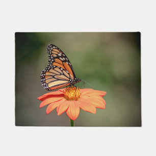 Paillasson Papillon Monarque sur une fleur d'orange