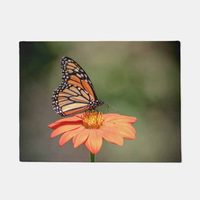 Paillasson Papillon Monarque sur une fleur d'orange (Devant)