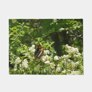 Paillasson Papillon-soeur de Californie en Yosemite