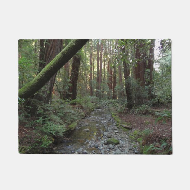 Paillasson Paysage de la forêt de Muir Woods Stream (Devant)